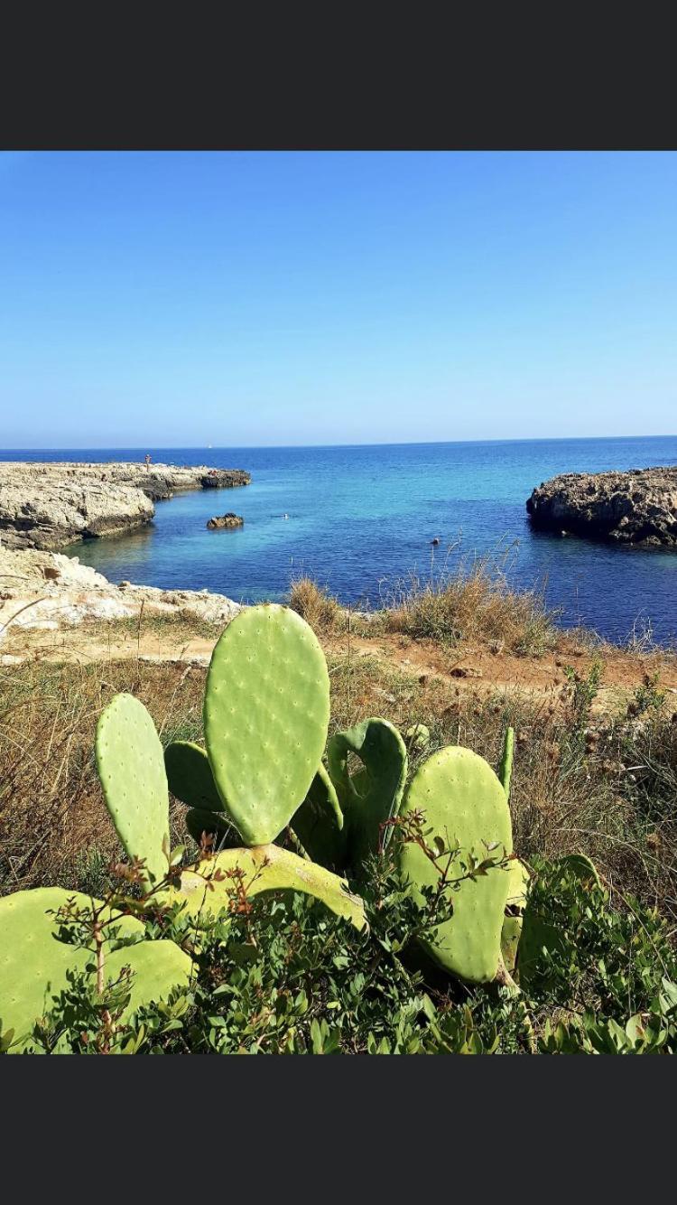 Ristella Home Monopoli Zewnętrze zdjęcie